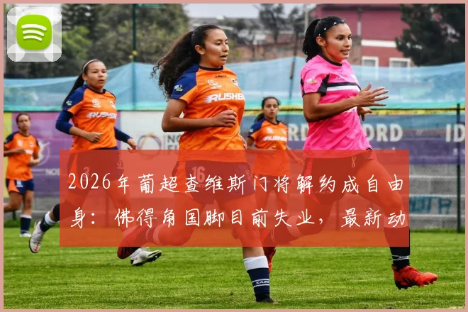 2026年葡超查维斯门将解约成自由身：佛得角国脚目前失业，最新动态与前景分析