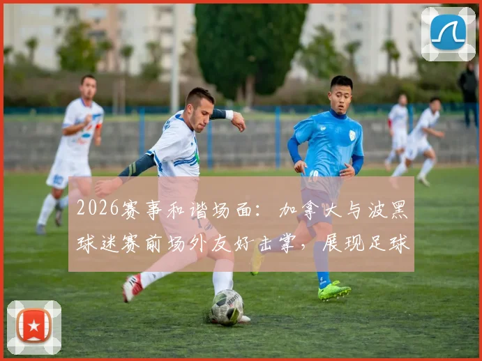 2026赛事和谐场面：加拿大与波黑球迷赛前场外友好击掌，展现足球文化正能量